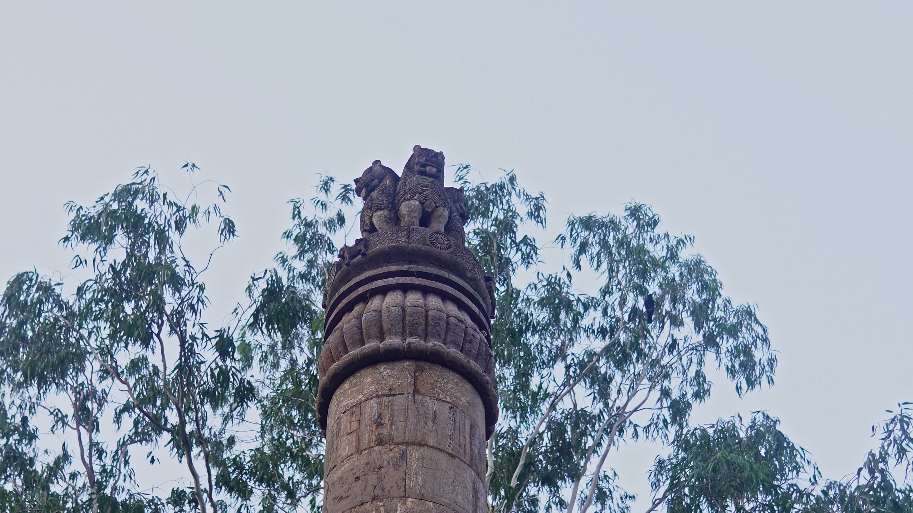 The Ashoka Pillar at Dhauli, a modern structure inspired by the Sarnath pillar