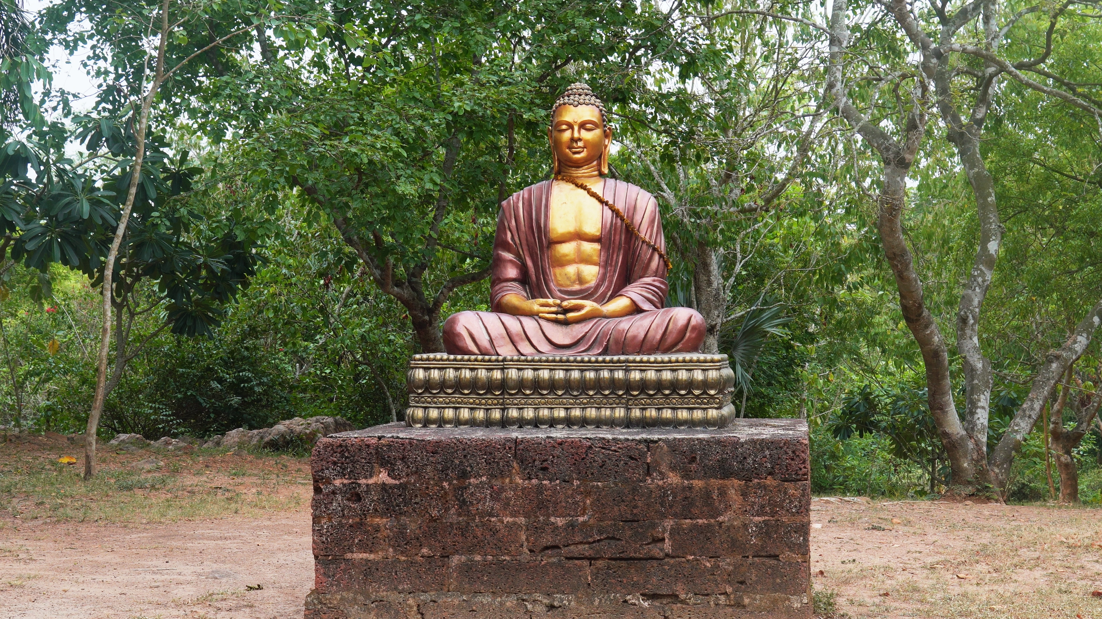 Buddha statues in meditation postures at Peace Park near Dhauli