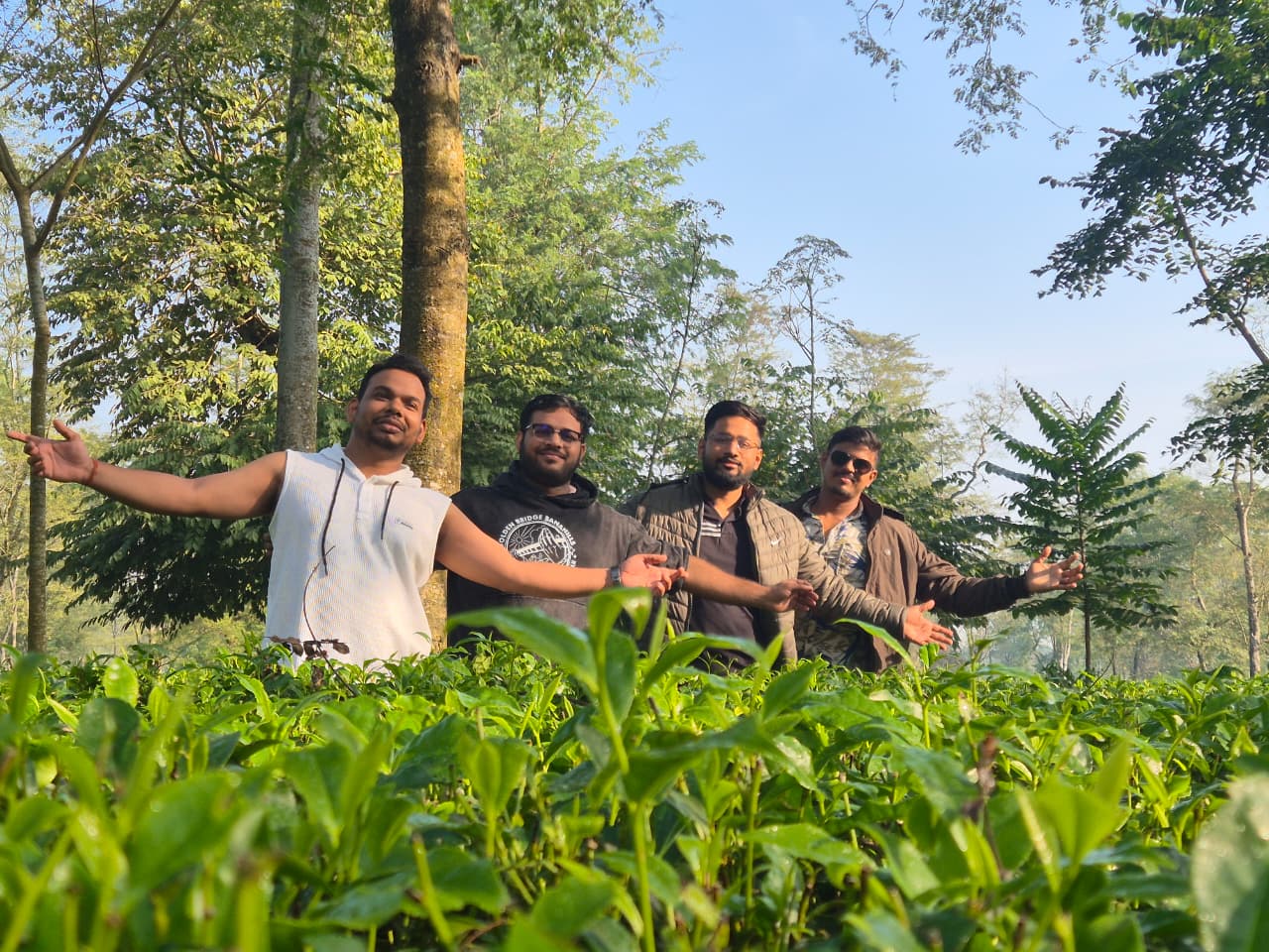 The group stopped at a tea garden on the drive to Sikkim, sunlight on the leaves