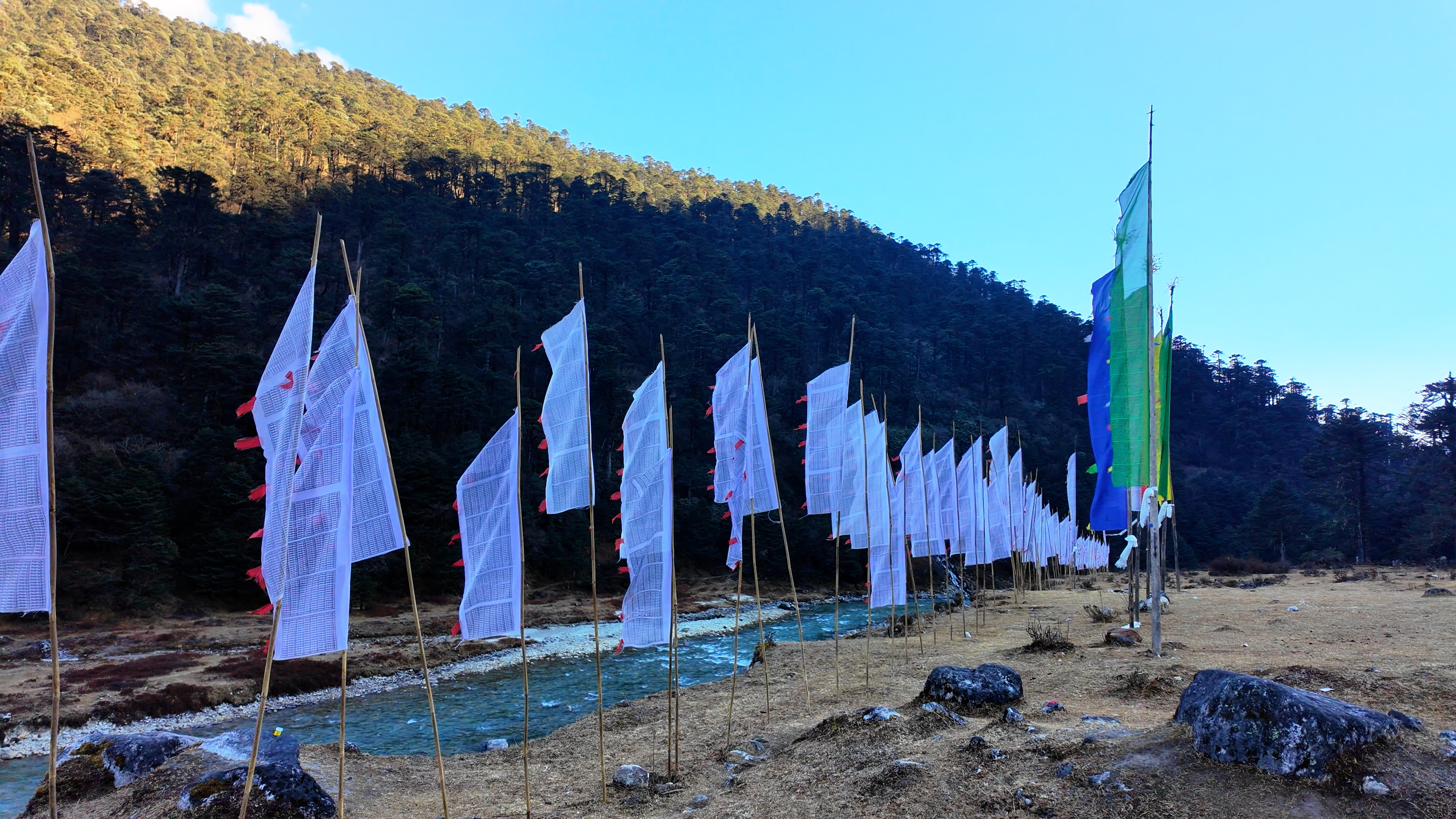 Yumthang Valley with river, bridge, and white prayer flags