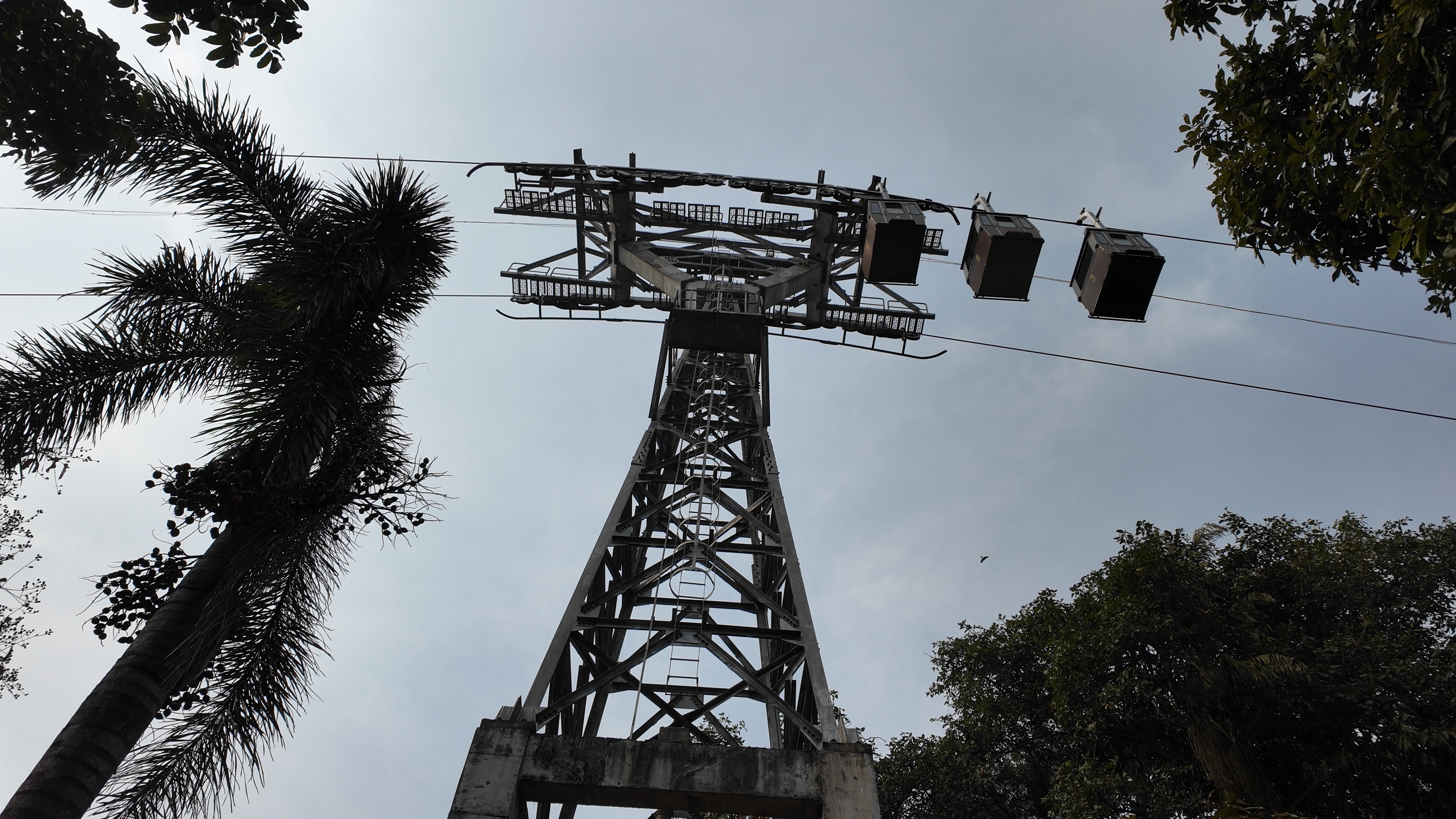 Ropeway cable cars passing above the Heritage Garden