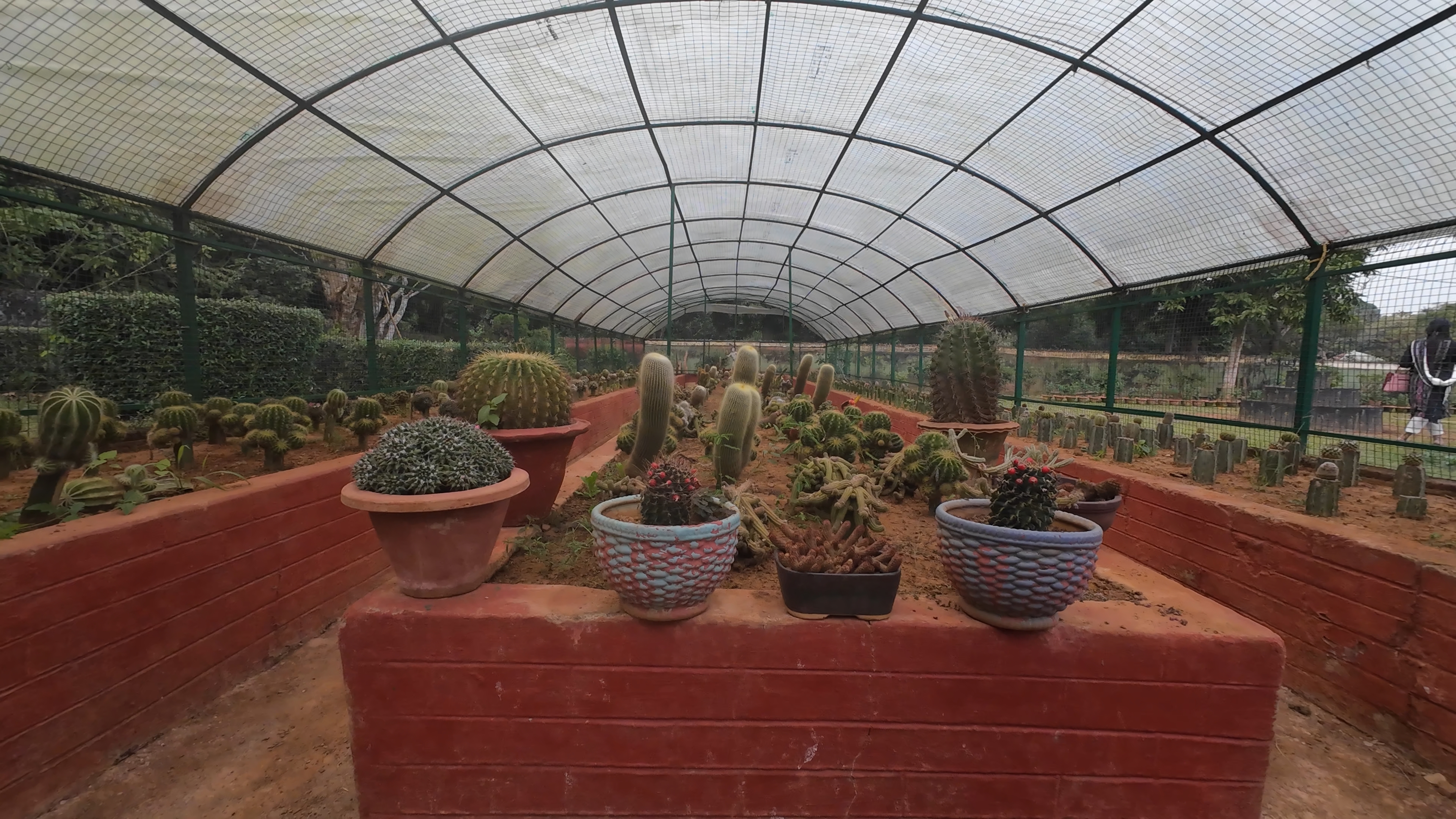 Cactus House, closed by the time of the visit