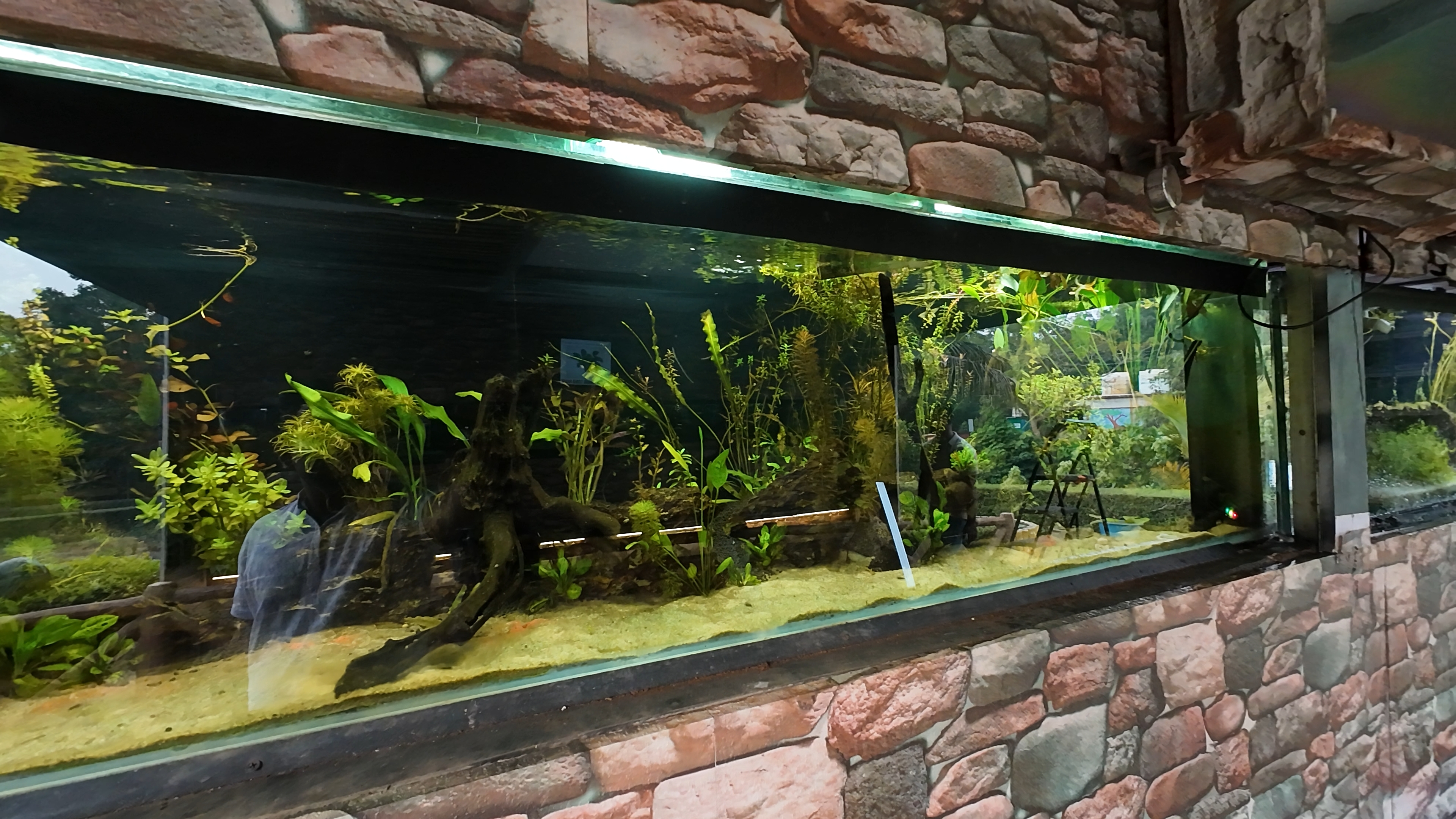 Hydrophytes Information Center at the Mughal Garden