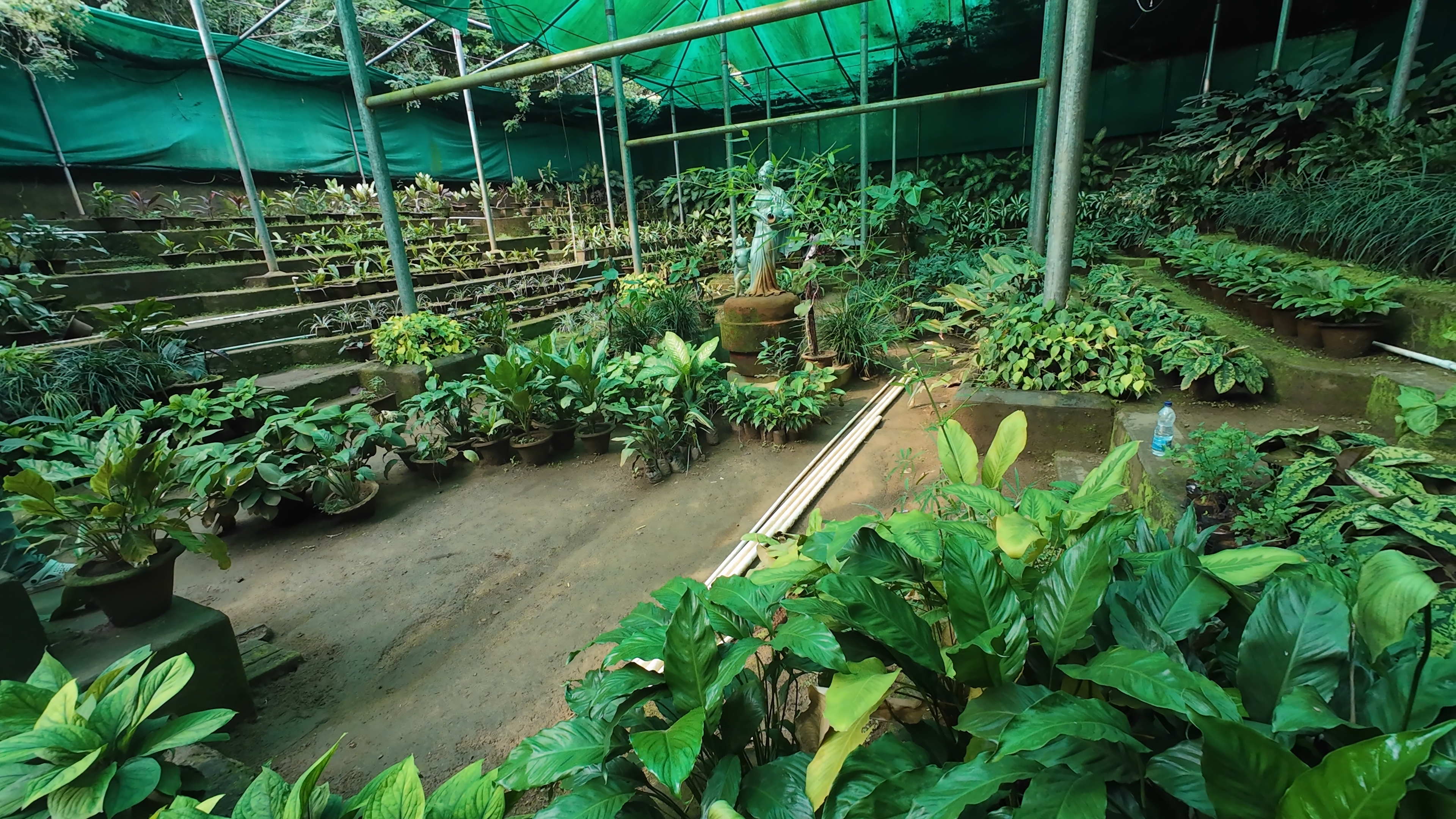 Interior of the Green House with indoor plant collection